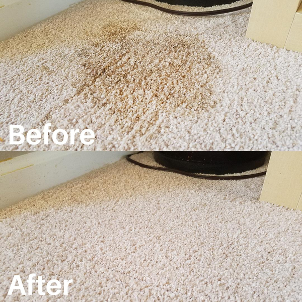 Cover photo of Salado Enterprises Carpet Cleaning